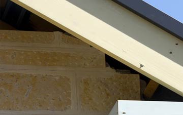 soffit repair Invergeldie